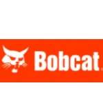 Bobcat